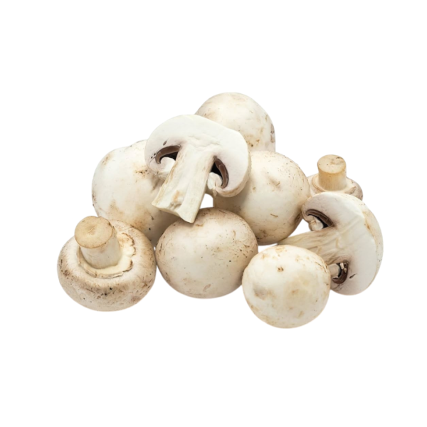 Mushroom