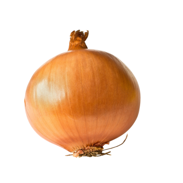 Onion