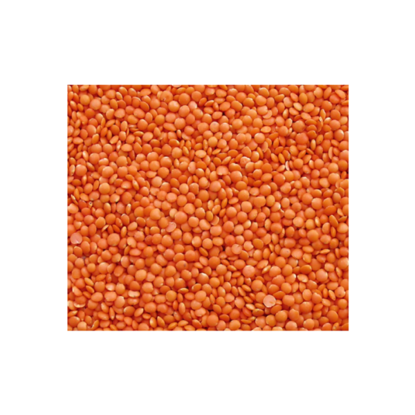 Red Lentils