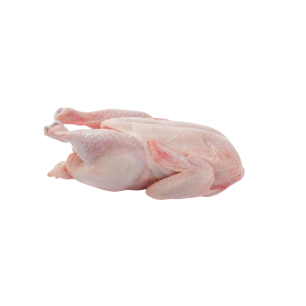 Whole Dressed Chicken